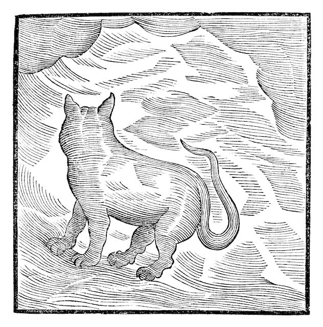 Valentina Magaletti & YPY || Kansai Bruises