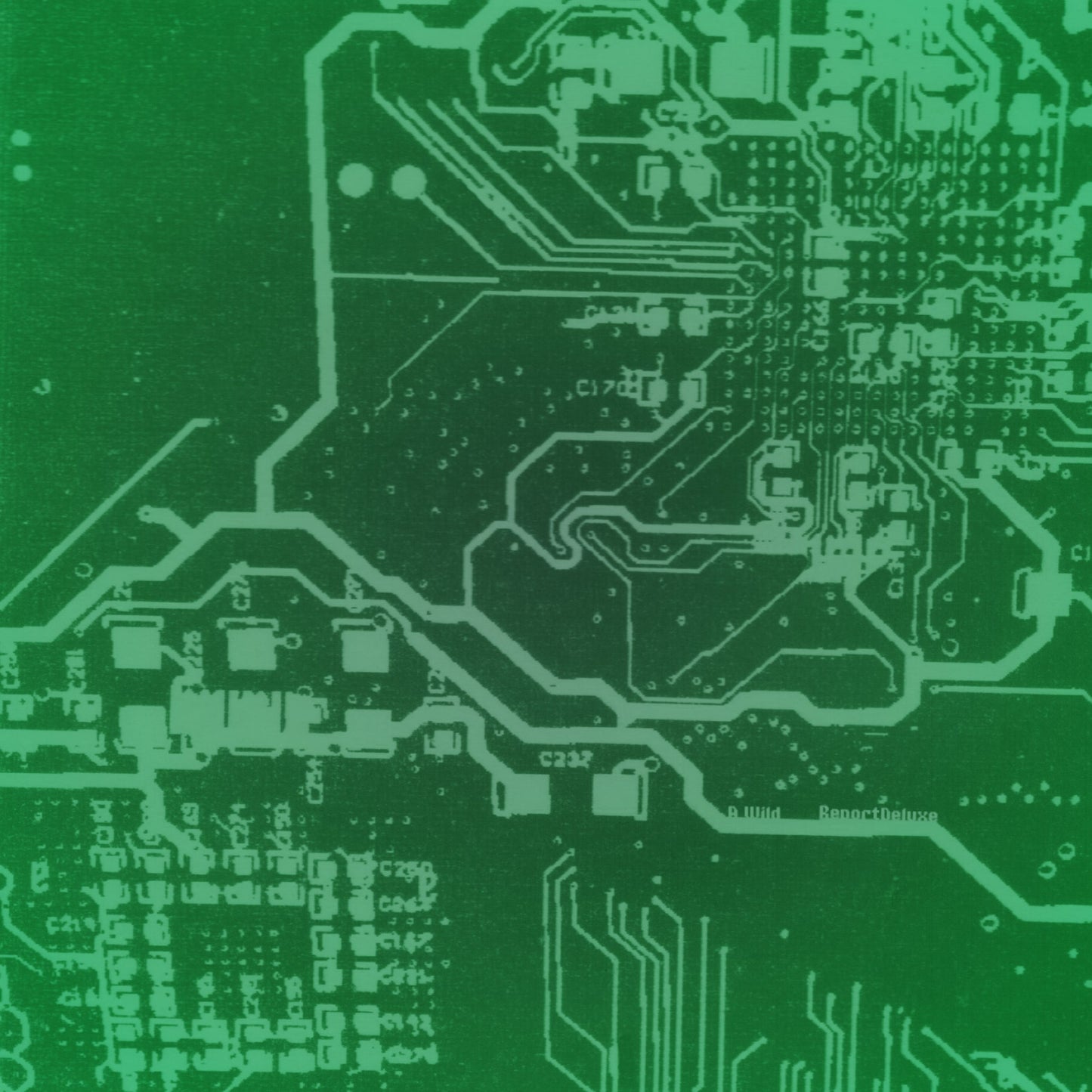 A.Wild || Report Deluxe