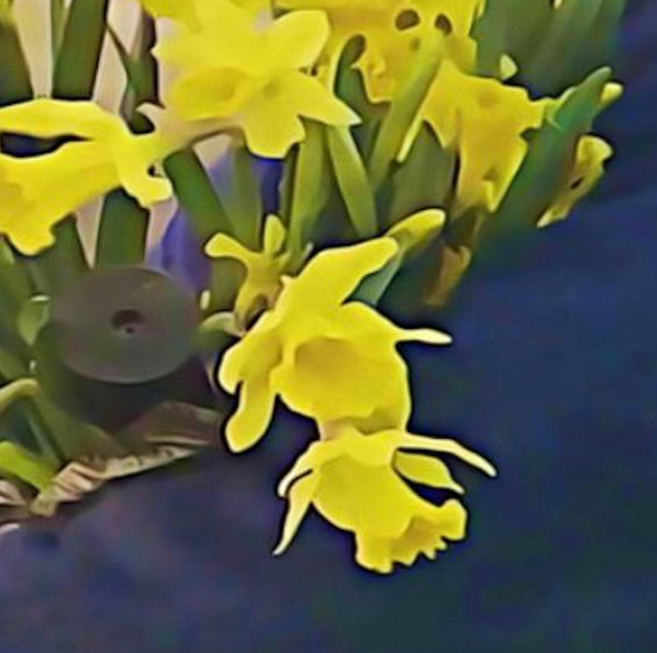 Dean Blunt & Elias Rønnenfelt || Lucre