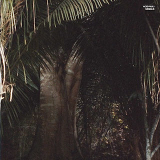 Acid Pauli || Urwald