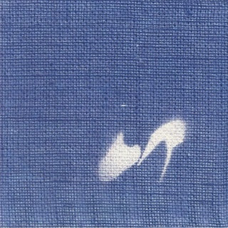 drames rurals || drames rurals (Shackleton mixes)