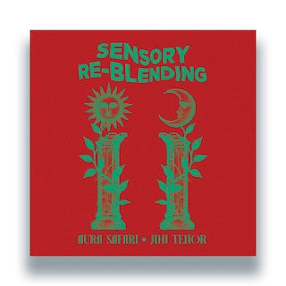 Aura Safari & Jimi Tenor || Sensory ReBlending