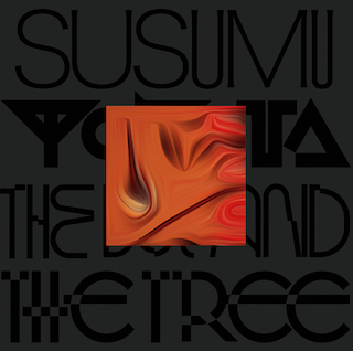 Susumu Yokota || The Boy and The Tree (Skintone Edition)