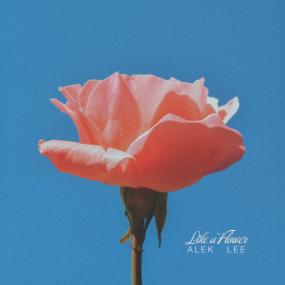 Alek Lee || Like A Flower