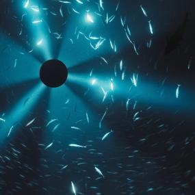 Laurel Halo || Midnight Zone (Original Soundtrack to the Film by Julian Charrière)