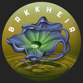 激レア！ゴアトランス　PRANA GEOMANTIK 4枚組 レコード 激レア！ゴアトランス PRANA GEOMANTIK 4枚組 レコード