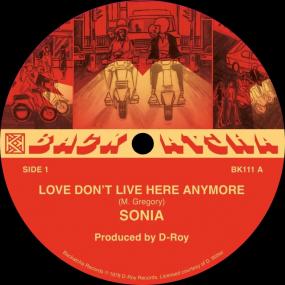 Sonia || Love Don't Live Here Anymore / Used To Be My Dread