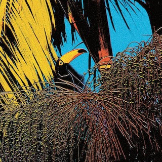 Joao Comazzi || Tucanaçai
