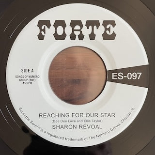 Sharon Revoal || Reaching For Our Star / Run Between The Raindrops