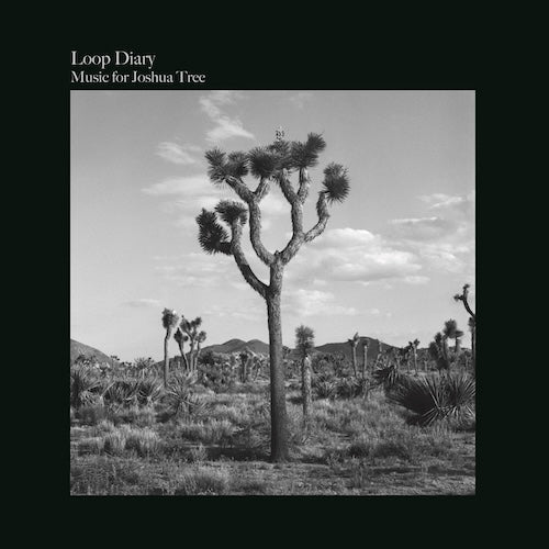 Loop Diary || Music for Joshua Tree