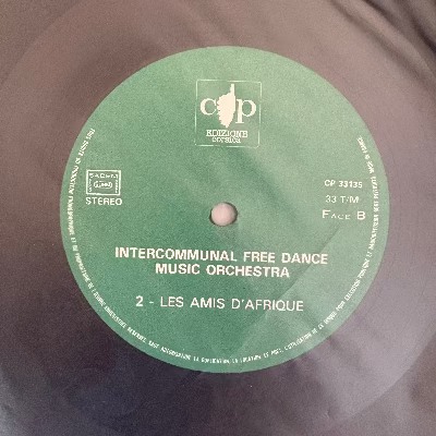 Intercommunal Free Dance Music Orchestra || Le Musichien