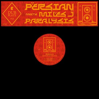 Persian || Persian Meets Miles J Paralysis