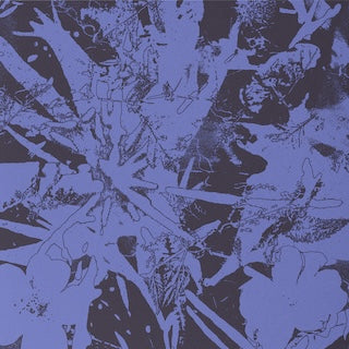 Plants Heal || Forest Dwellers