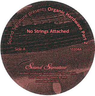 Theo Parrish || Organic Hardware Part 2