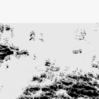 Bot1500 || The Black Sea