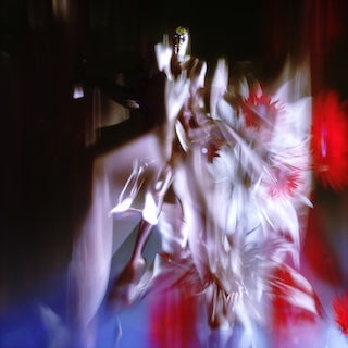 Polygonia || Ceaseless Motion