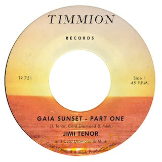 Jimi Tenor with Cold Diamond & Mink || Gaia Sunset
