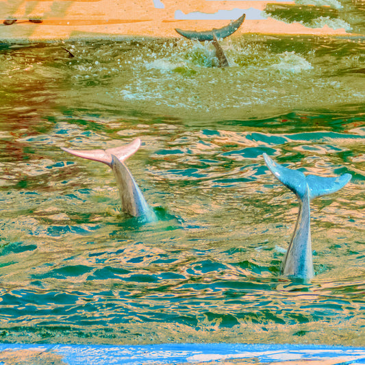 空間現代 || Tracks