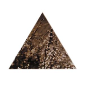 Terre Thaemlitz || Soil (30th Anniversary Edition)