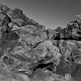 Pugilist || Found Sound