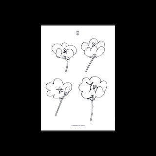Lawrence || Poppies